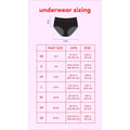 Absorbent Period Underwear - Bright House