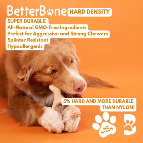 BetterBone HARD CHEW TOY: Natural Ingredients, eco - friendly, and ultra - durable chew for the toughest chewers! - Bright House