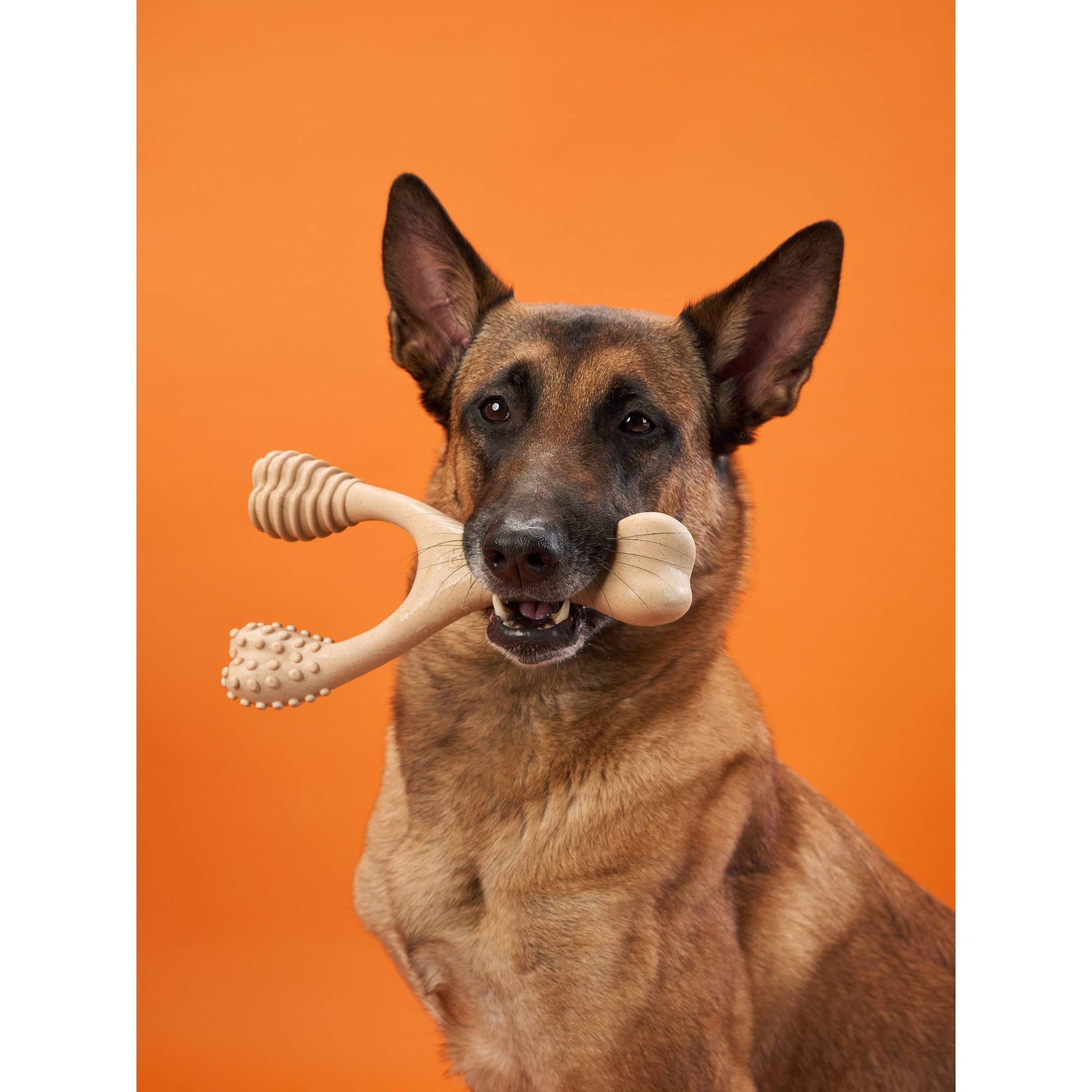 BetterBone HARD CHEW TOY: Natural Ingredients, eco - friendly, and ultra - durable chew for the toughest chewers! - Bright House