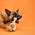 BetterBone HARD CHEW TOY: Natural Ingredients, eco - friendly, and ultra - durable chew for the toughest chewers! - Bright House