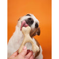 BetterBone HARD CHEW TOY: Natural Ingredients, eco - friendly, and ultra - durable chew for the toughest chewers! - Bright House