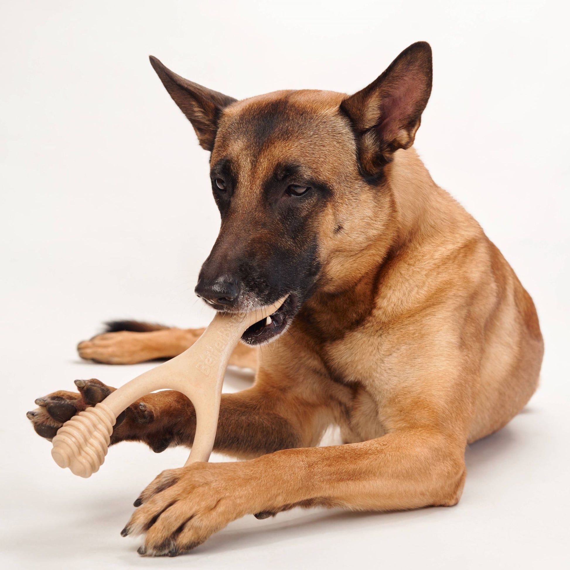 BetterBone MEDIUM Durability CHEW TOY: Perfect Chew for Everyday Chewers | Natural Ingredients, Eco - Friendly, Non - Toxic - Bright House
