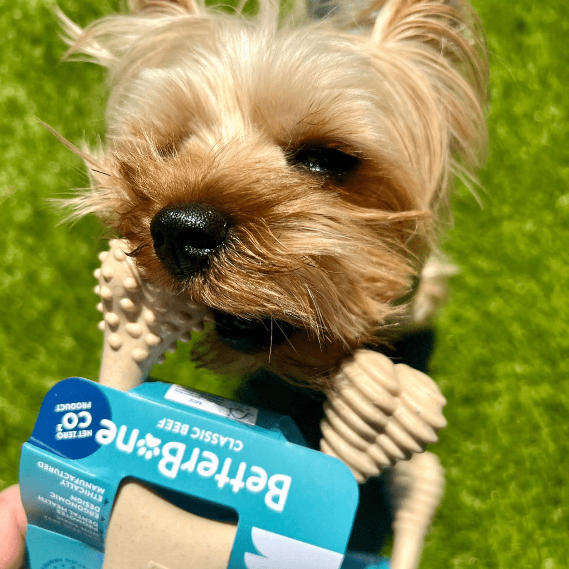 BetterBone SOFT Durability CHEW TOY: Natural Ingredients, Perfet for Teething Puppies, Senior Dogs & Gentle Chewers - Bright House