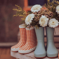 Classic Rain Boots | Fern - Bright House