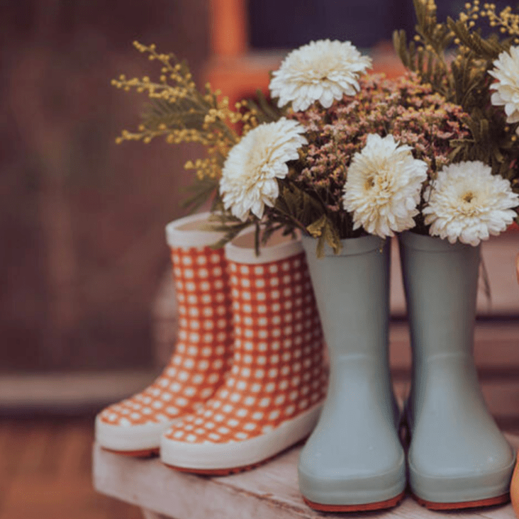 Classic Rain Boots | Fern - Bright House