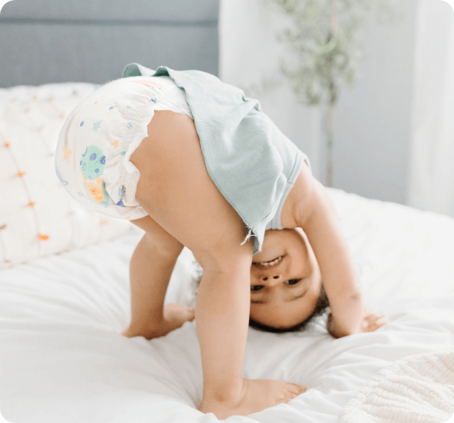 Diaper Box & Wipes Bundle | 100% Cotton - Lined TCF Diapers Size 1 - 6 | Kudos - Bright House