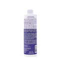 FRAMESI Color Lover Dynamic Blonde Purple Shampoo, Sulfate Free Shampoo, Color Treated Hai 16.9 Ozr - Bright House