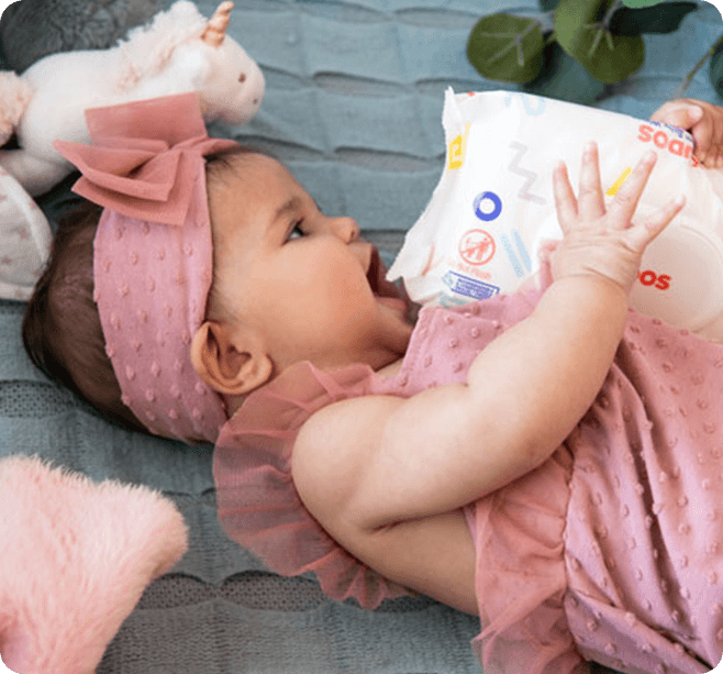 One - month supply of wipes (4 packs) - Bright House