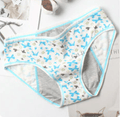 Teeni Bikini Period Panties - Bright House