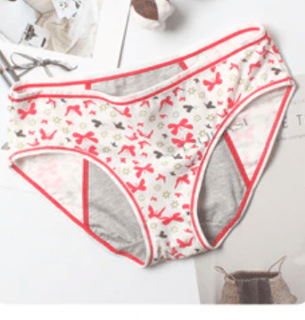 Teeni Bikini Period Panties - Bright House