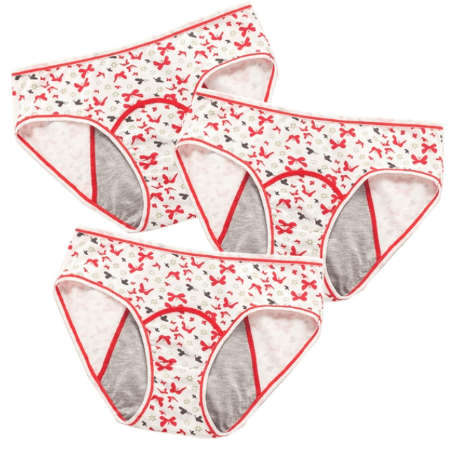 Teeni Bikini Period Panties - Bright House