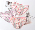 Teeni Bikini Period Panties - Bright House