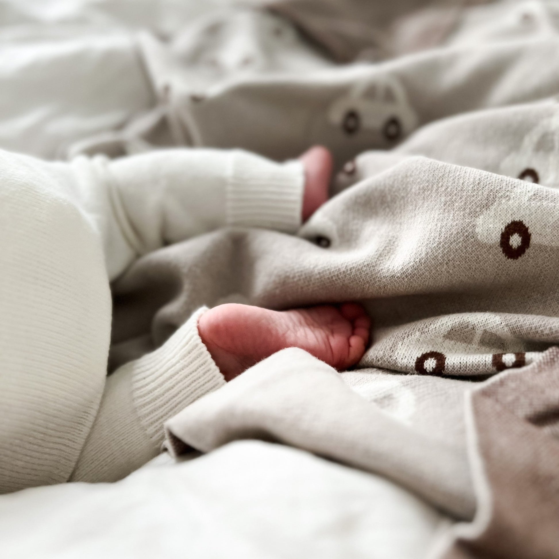 Whimsy Collection - Luxury 100% Cotton Knit Swaddle Baby Blanket - Bright House