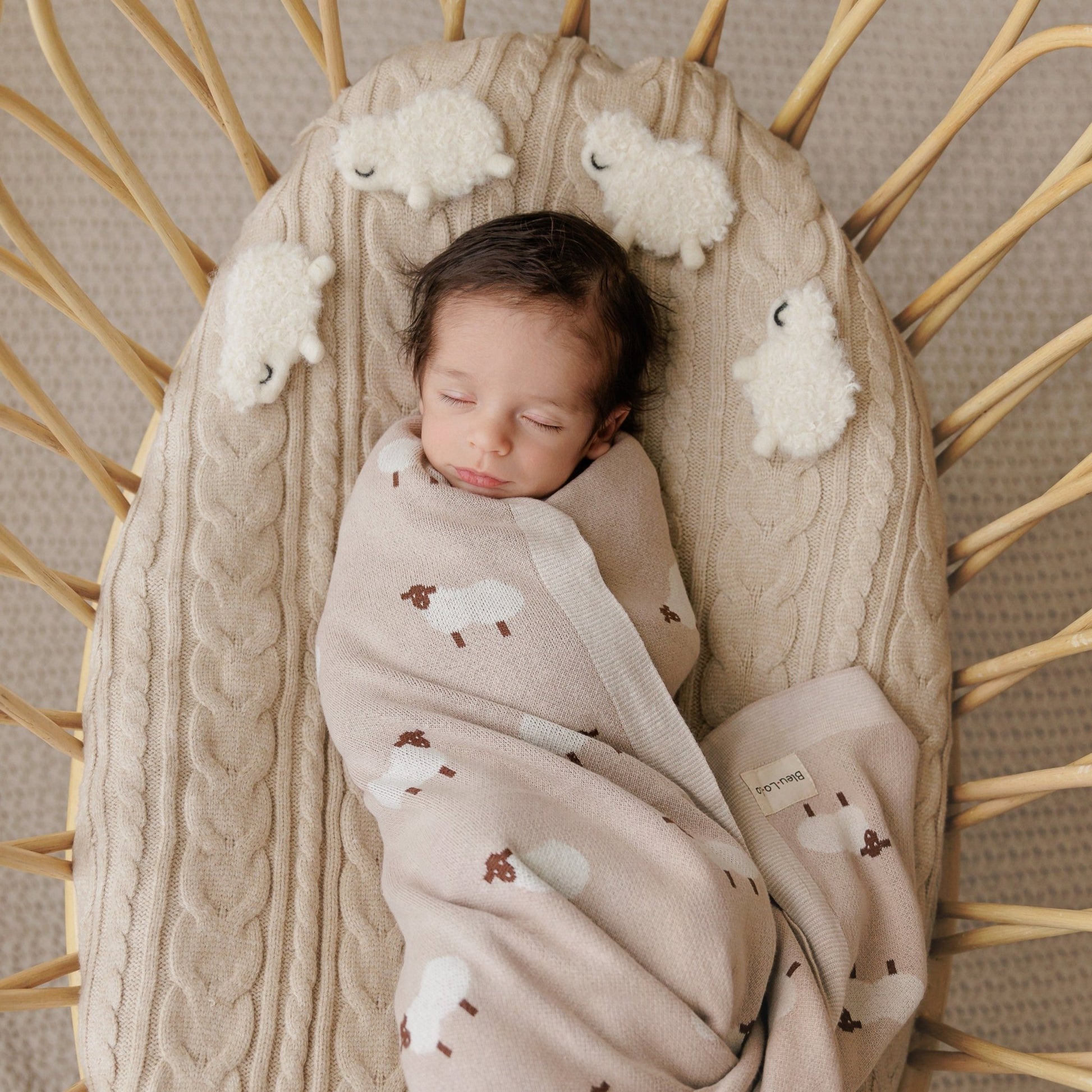 Whimsy Collection - Luxury 100% Cotton Knit Swaddle Baby Blanket - Bright House