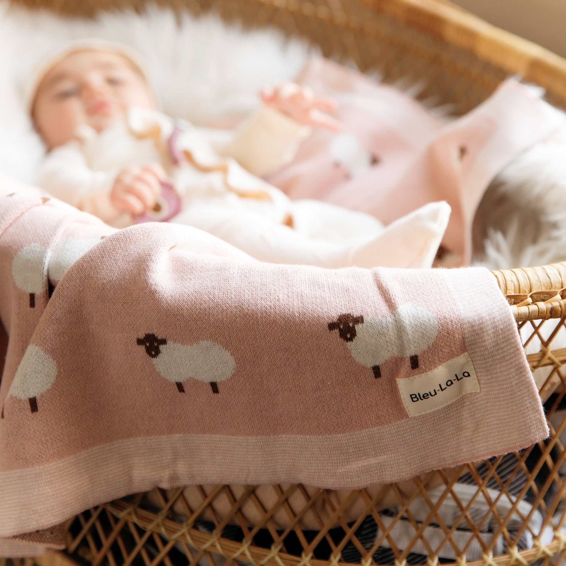Whimsy Collection - Luxury 100% Cotton Knit Swaddle Baby Blanket - Bright House