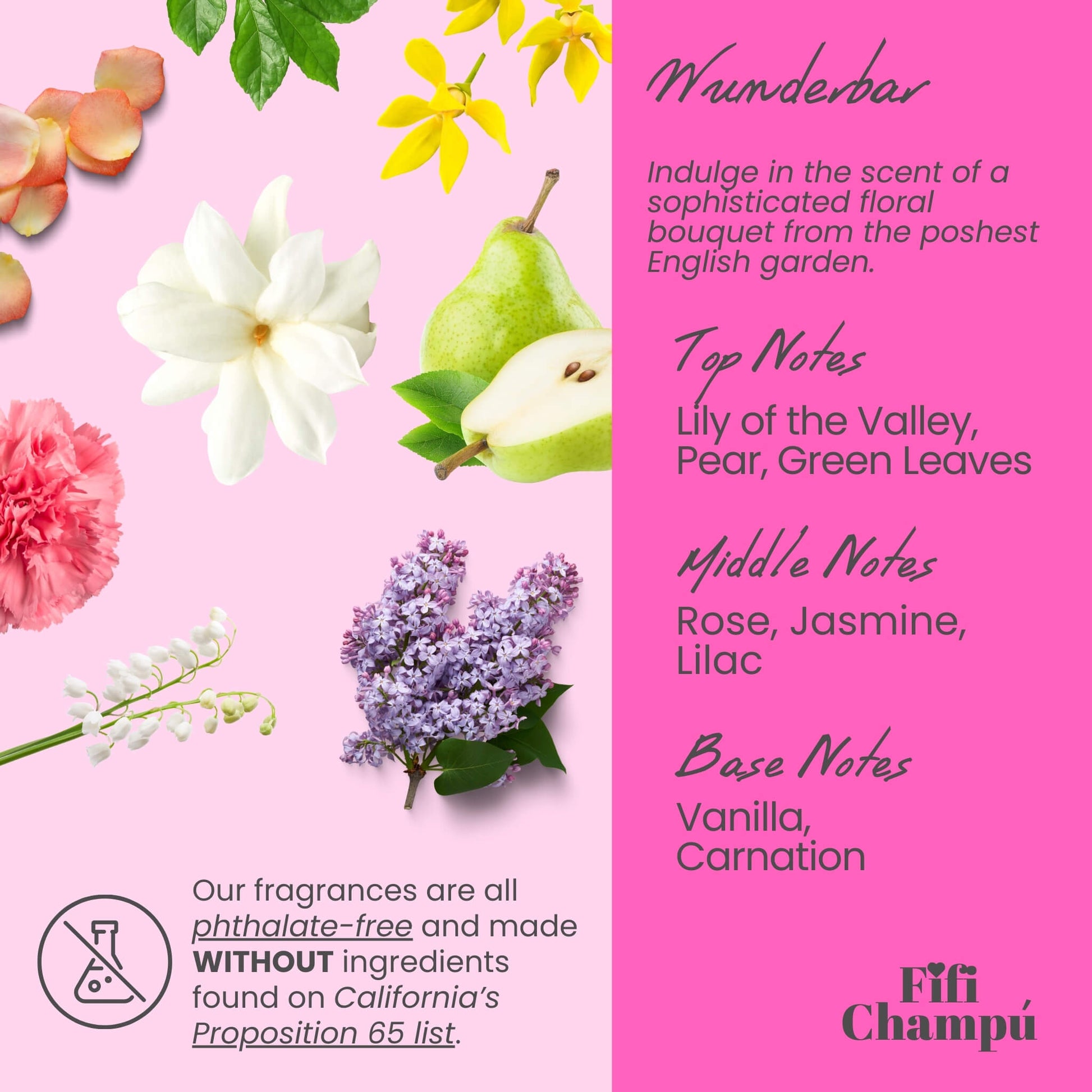 Wunderbar Conditioner Bar: Nourishing, Plant - Based Hydration - Bright House